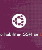 Cómo habilitar SSH en Ubuntu