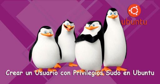 Crear un Usuario con Privilegios Sudo en Ubuntu