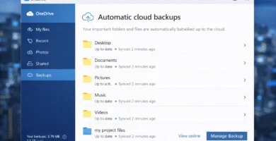 Onedrive backup - OneDrive Backup 2025 - Copias de seguridad automáticas en la nube de Microsoft