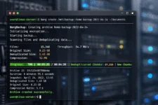 BorgBackup 1.2.7 – Copias de seguridad cifradas y eficientes en Linux
